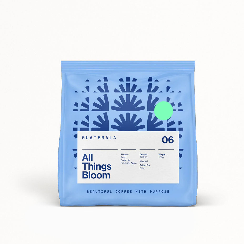 06 Filter - All Things Bloom - Guatemala