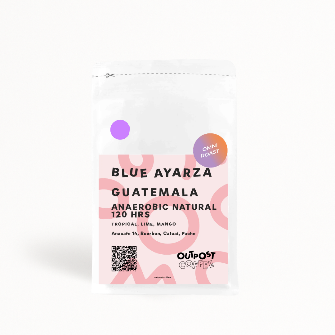 Blue Ayarza - Outpost Coffee - Guatemala