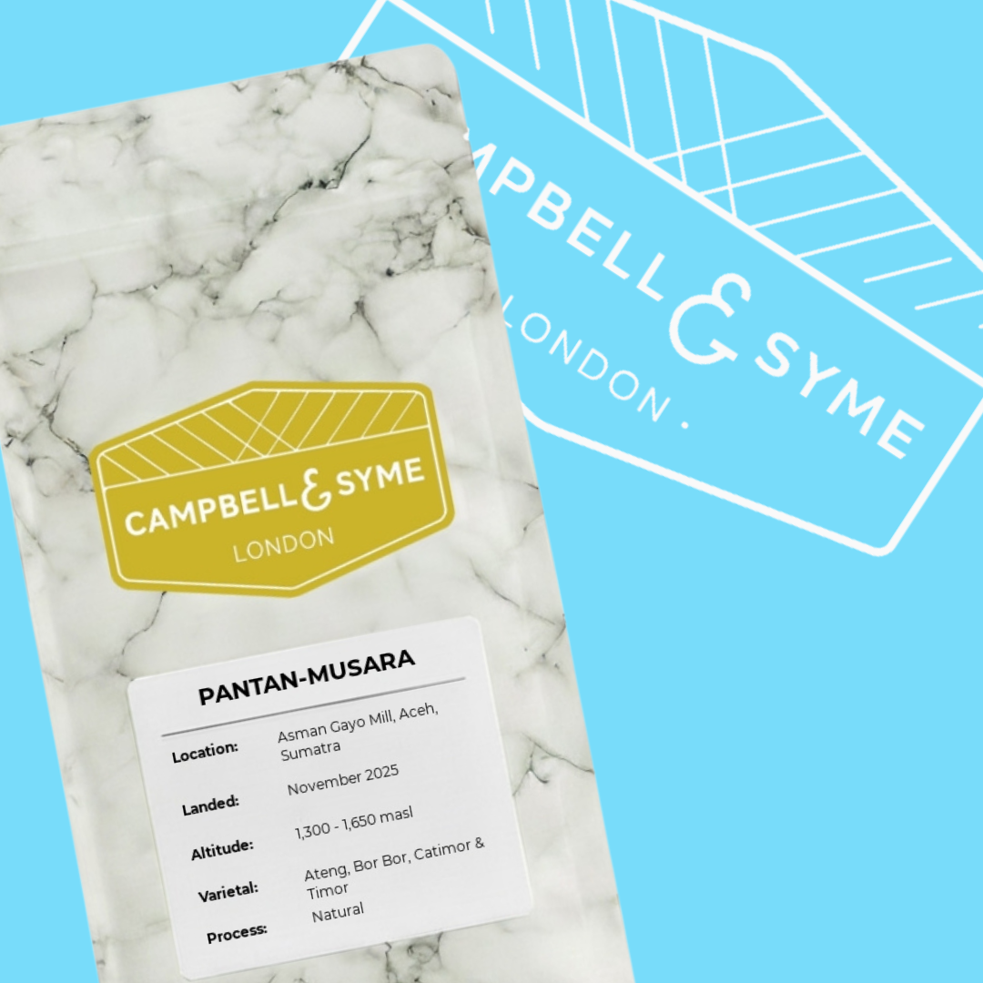 Pantan Musara - Campbell & Syme - Indonesia