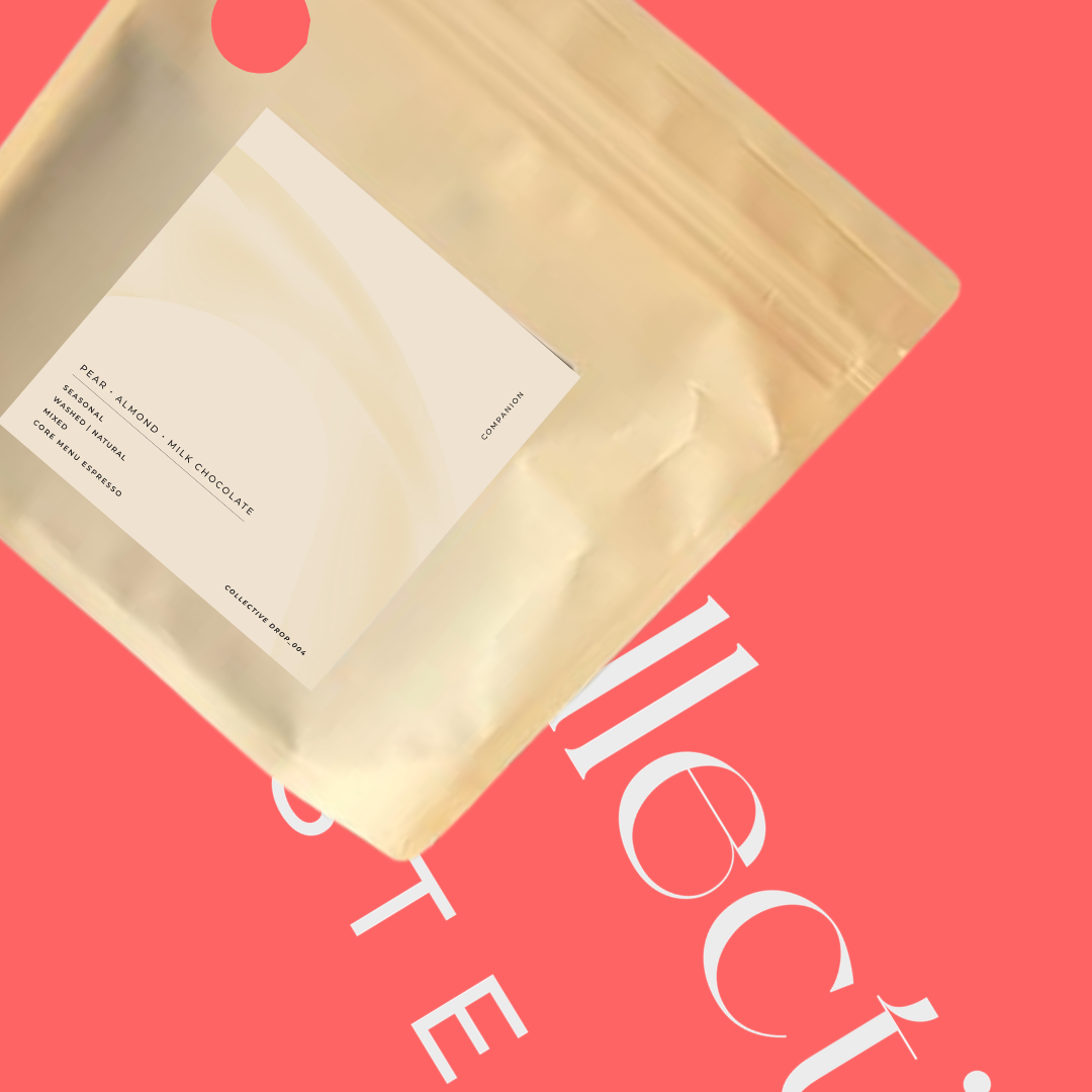Signature Blend - Sip Collective - Blend
