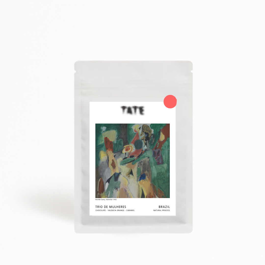 Trio de Mulheres - Coffee by Tate - Brazil
