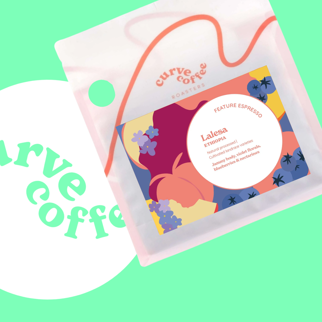 Lalesa - Curve Coffee - Ethiopia