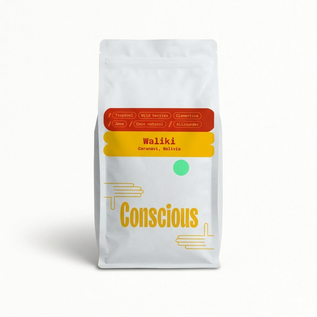 Waliki - Conscious - Bolivia
