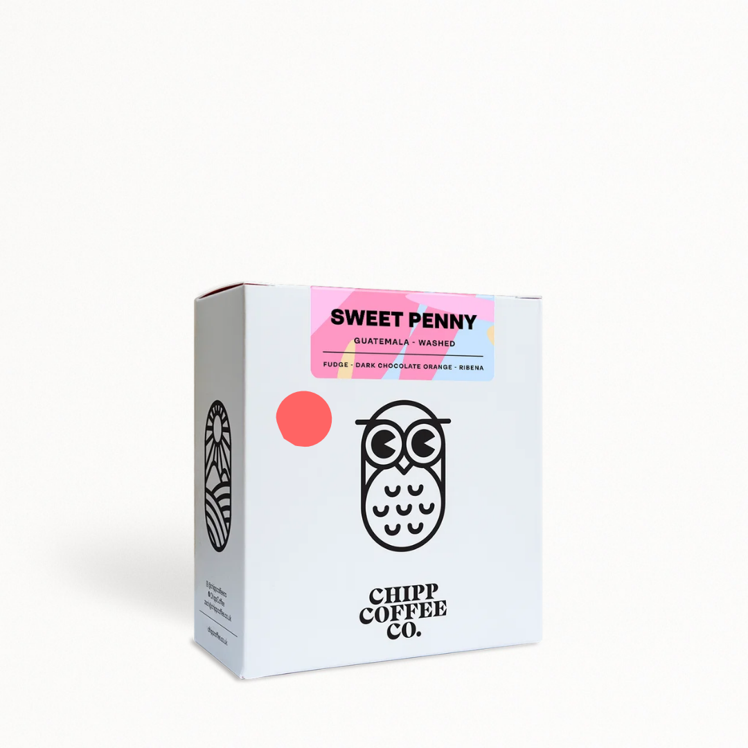 Sweet Penny - Chipp Coffee Co. - Guatemala