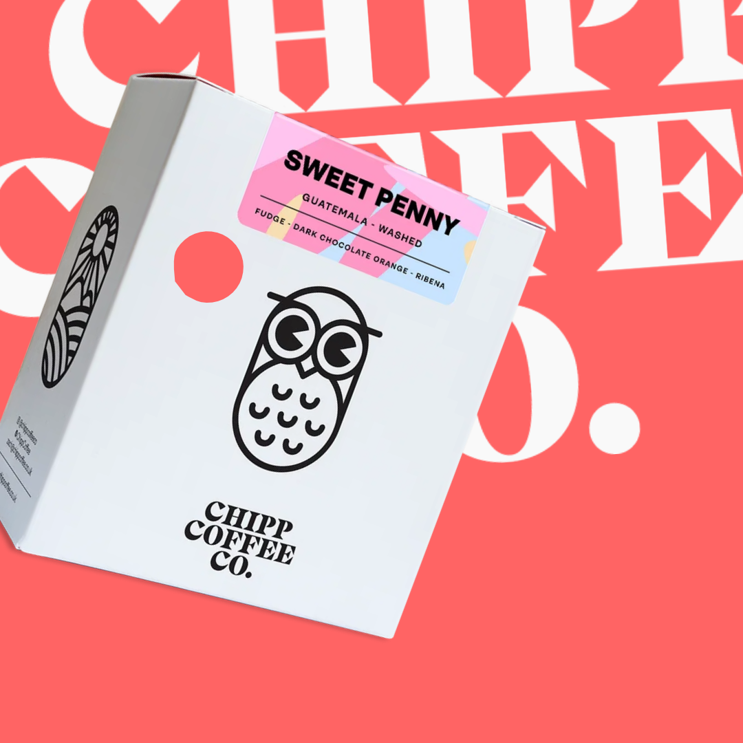 Sweet Penny - Chipp Coffee Co. - Guatemala