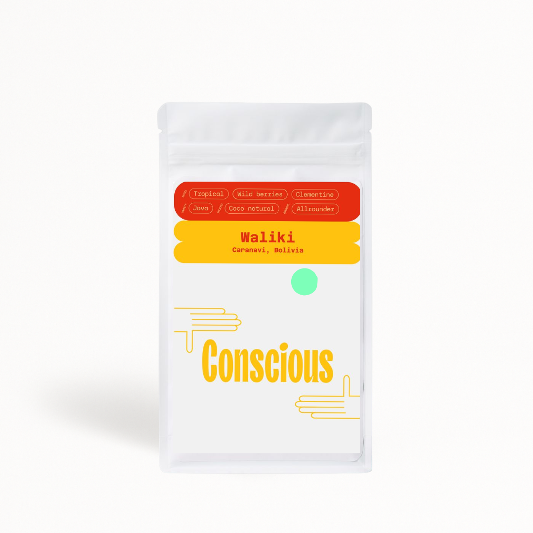 Waliki - Conscious - Bolivia
